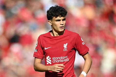 Red Bull Salzburg reach agreement with Liverpool to sign Stefan .